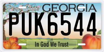 GA license plate PUK6544
