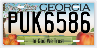 GA license plate PUK6586