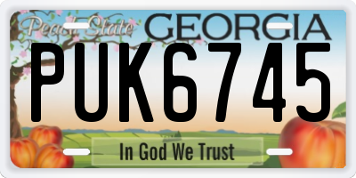 GA license plate PUK6745