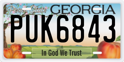 GA license plate PUK6843