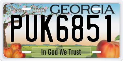 GA license plate PUK6851