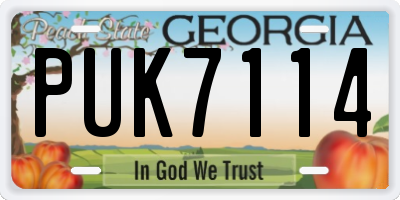 GA license plate PUK7114