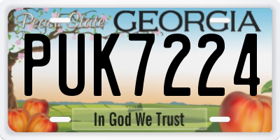 GA license plate PUK7224