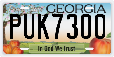 GA license plate PUK7300
