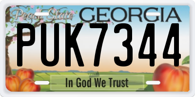 GA license plate PUK7344