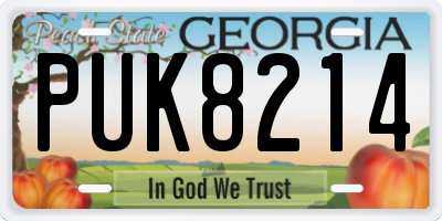 GA license plate PUK8214