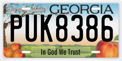 GA license plate PUK8386