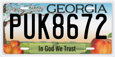 GA license plate PUK8672