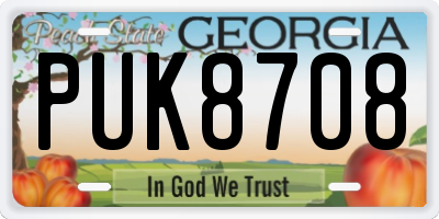 GA license plate PUK8708