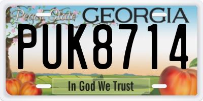 GA license plate PUK8714