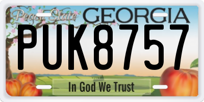 GA license plate PUK8757