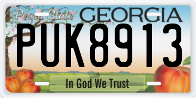 GA license plate PUK8913