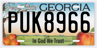 GA license plate PUK8966