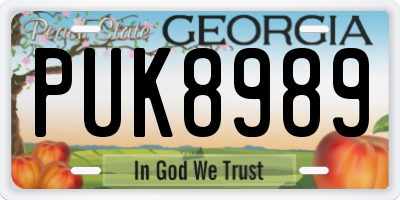 GA license plate PUK8989