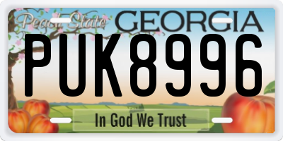 GA license plate PUK8996