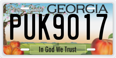 GA license plate PUK9017