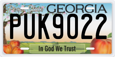 GA license plate PUK9022