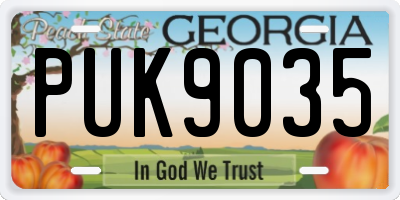 GA license plate PUK9035