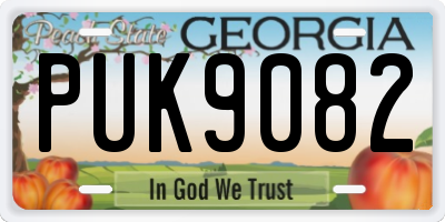 GA license plate PUK9082