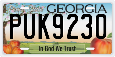 GA license plate PUK9230