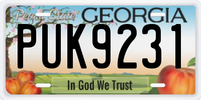 GA license plate PUK9231