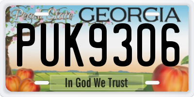 GA license plate PUK9306