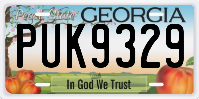 GA license plate PUK9329