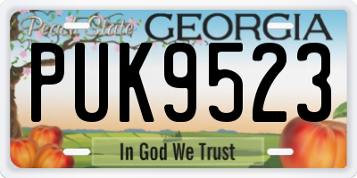 GA license plate PUK9523