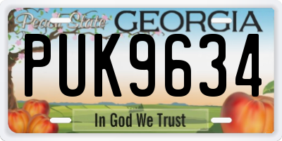 GA license plate PUK9634