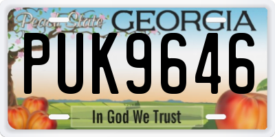 GA license plate PUK9646
