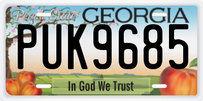GA license plate PUK9685