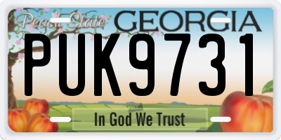 GA license plate PUK9731
