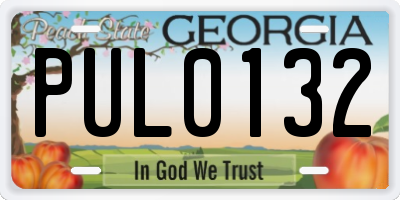 GA license plate PUL0132