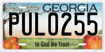 GA license plate PUL0255