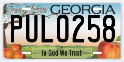 GA license plate PUL0258