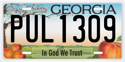GA license plate PUL1309
