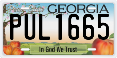 GA license plate PUL1665