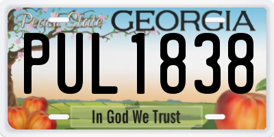 GA license plate PUL1838