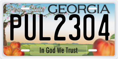 GA license plate PUL2304
