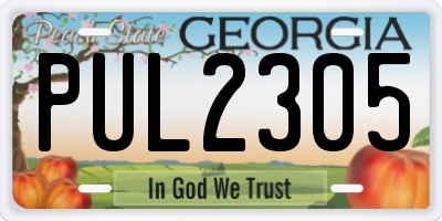 GA license plate PUL2305