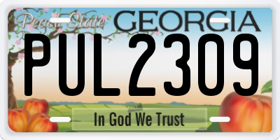 GA license plate PUL2309
