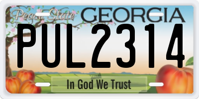 GA license plate PUL2314