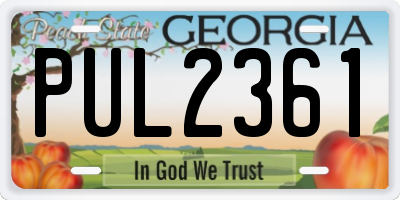 GA license plate PUL2361