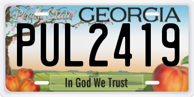 GA license plate PUL2419