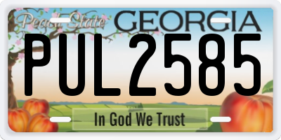 GA license plate PUL2585