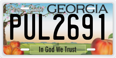 GA license plate PUL2691