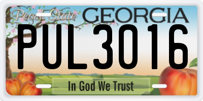 GA license plate PUL3016