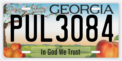 GA license plate PUL3084