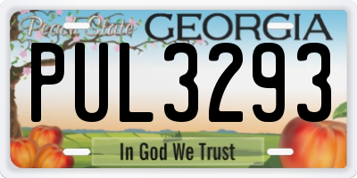GA license plate PUL3293