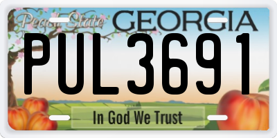 GA license plate PUL3691